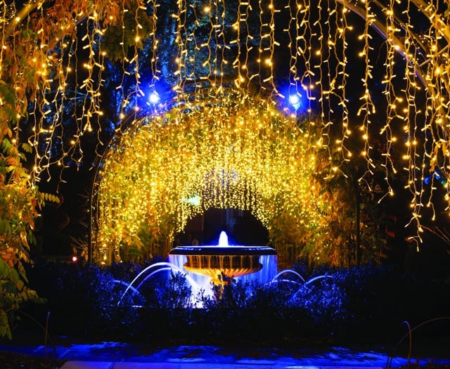Magical Glow will emphasise the beauty of winter garden