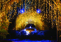 Magical Glow will emphasise the beauty of winter garden