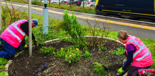 Green-fingered group brings beauty to village surroundings