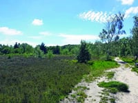 Go wild outdoors in the Christmas holiday