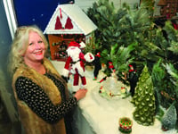 Window dressing creates a magical forest for Santa