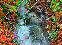 Untreated sewage was flowing into local canal