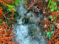 Untreated sewage was flowing into local canal