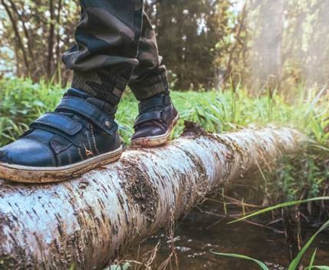 Uncover the mysterious world beneath your feet