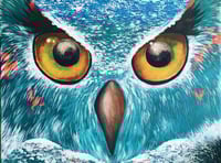 Competition to show wonder of wildlife