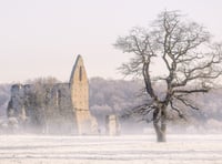Priory picture wins prize for Diana