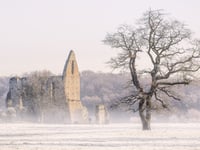 Priory picture wins prize for Diana