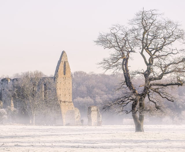 Priory picture wins prize for Diana