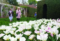 Up to 5,000 visitors enjoy a stunning array of tulips