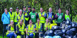 Litter group goes from strength to strength