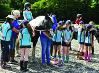 Stables visit allows pupils to see fundraising benefits for chosen charity