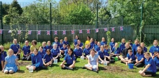 Pupils plant a mini orchard for jubilee
