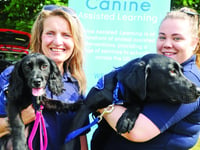 Hundreds turn out to support canine fundraiser