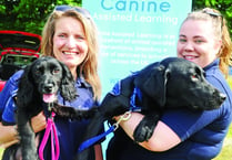 Hundreds turn out to support canine fundraiser