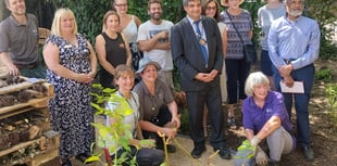 Volunteers create a community hub garden