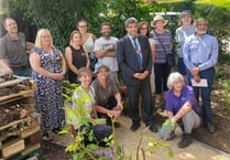 Volunteers create a community hub garden