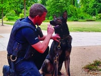 Surrey Police back DNA technology to tackle dog theft 