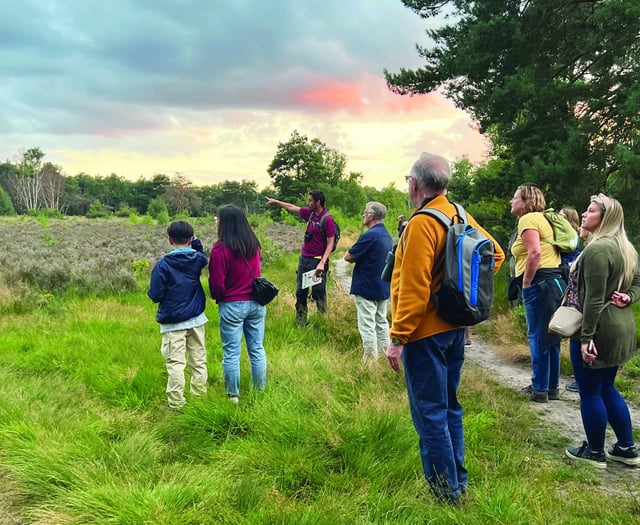 Heathland events highlight importance of local habitat