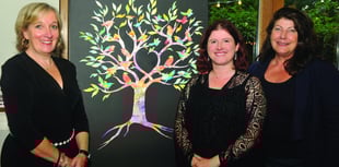 Lockdown project grows into multi-media vision of the arts