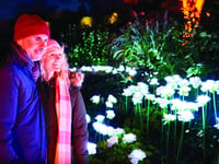 Gardens become illuminated wonderland