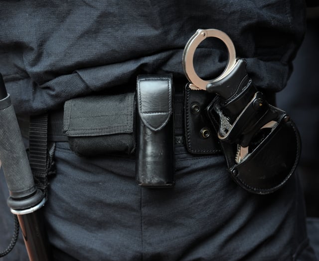 Police use of force rises over pandemic in Surrey