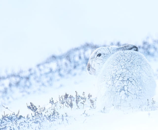 Woking's top photographic talent on show