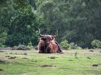 Ten winter walks under five miles to enjoy in Surrey and Hampshire