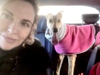 Community rallies round to reunite missing dog with her owner