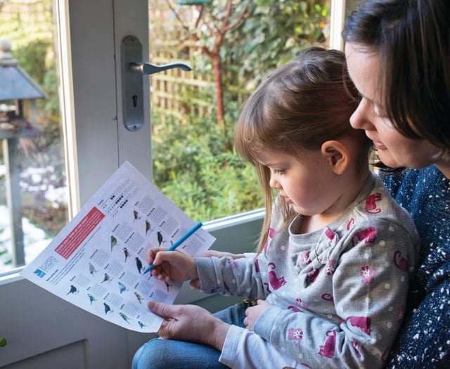 Join the UK's biggest wildlife survey this weekend