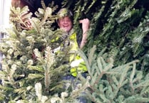 Goodwill helps turn trees into care for Woking & Sam Beare Hospice