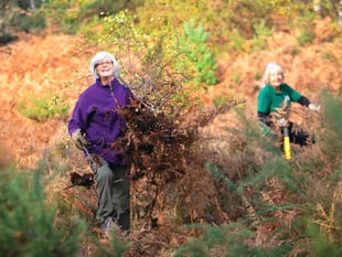 Battle against invasive scrub