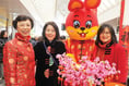 Colourful start to Year of the Rabbit in Woking