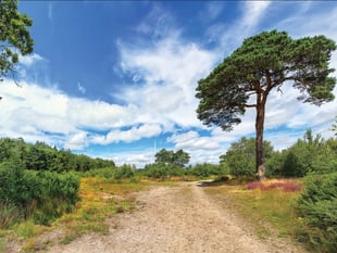 Our county is brimming with natural delights