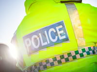 Did you witness gang attack that left victim seriously injured?