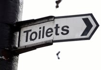 Toilet map shows just over a dozen accessible toilets in Woking