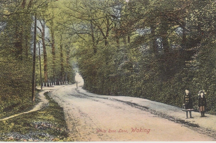 White Rose lane