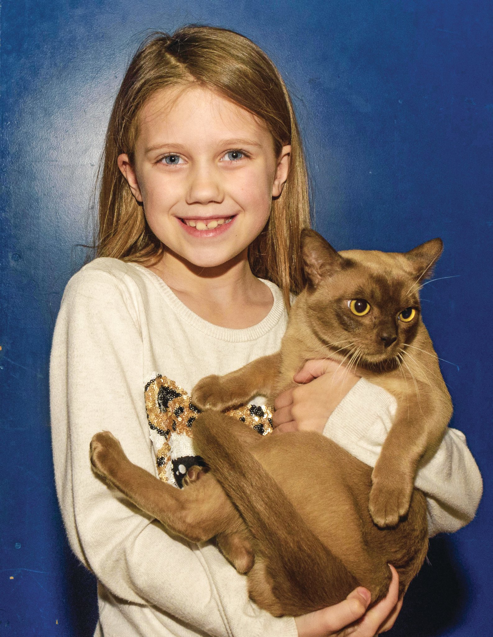 Fantastic felines draw hundreds to cat show at Woking