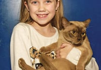 Fantastic felines draw hundreds to cat show at Woking