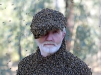 George gets a buzz out of all sorts of insects