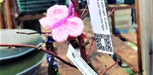 Handmade butterflies sharing messages of hope