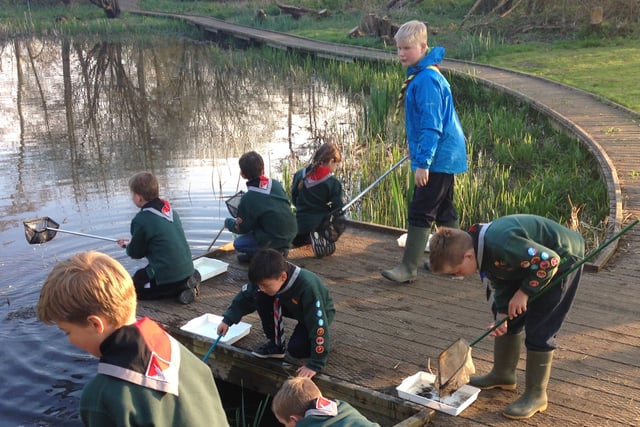 Fox Corner Wildlife Area appeal needs your help to reach target