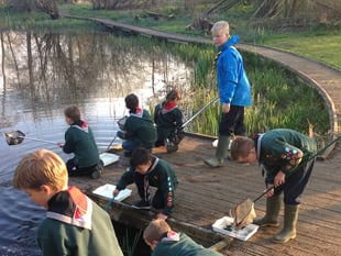 Fox Corner Wildlife Area appeal needs your help to reach target