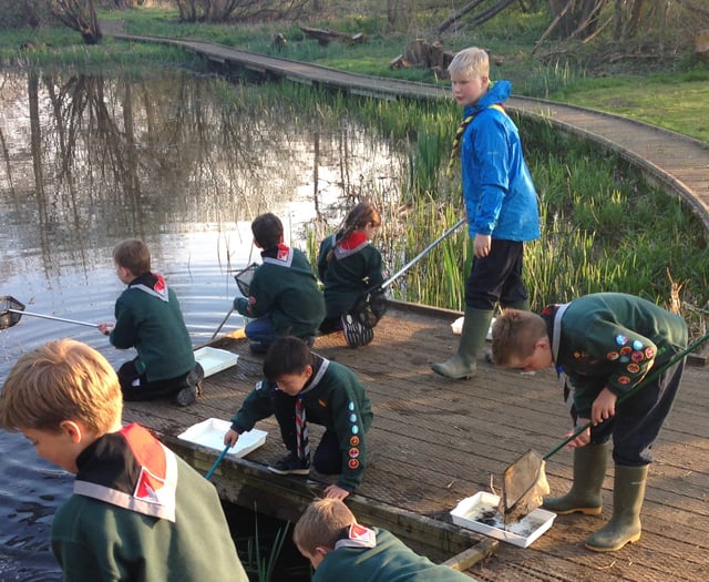 Fox Corner Wildlife Area appeal needs your help to reach target