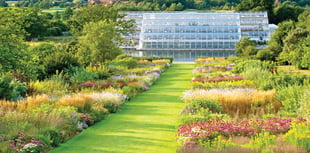 RHS Wisley borders will be transformed into a paradise