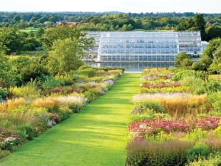 RHS Wisley borders will be transformed into a paradise