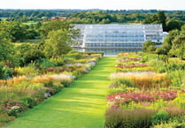 RHS Wisley borders will be transformed into a paradise