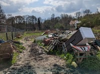RSPCA appeal to public for information about collapsed horse in Woking