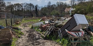 RSPCA appeal to public for information about collapsed horse in Woking