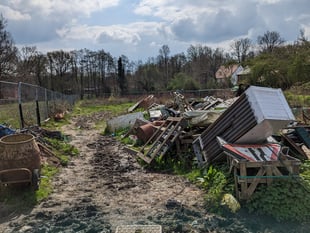 RSPCA appeal to public for information about collapsed horse in Woking