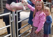 Families flock to enjoy Fleecy Frolics fun days